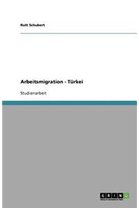 Arbeitsmigration - Türkei