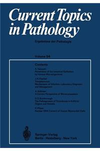 Current Topics in Pathology / Ergebnisse Der Pathologie