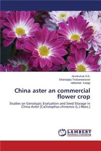 China aster an commercial flower crop