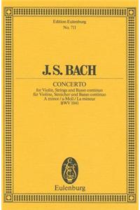Violin Concerto No. 1, Bwv 1041: In a Minor