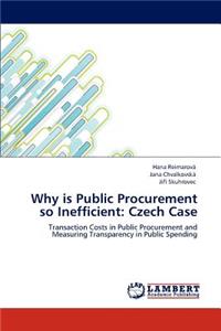 Why is Public Procurement so Inefficient
