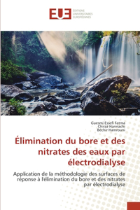 Élimination du bore et des nitrates des eaux par électrodialyse