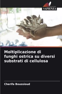 Moltiplicazione di funghi ostrica su diversi substrati di cellulosa