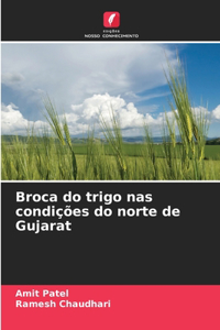 Broca do trigo nas condições do norte de Gujarat