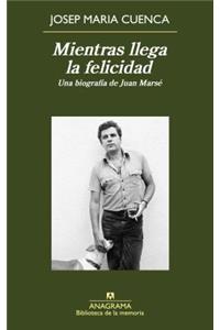 Mientras llega la felicidad