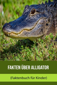 Fakten über Alligator (Faktenbuch für Kinder)