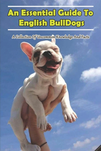 An Essential Guide To English Bulldogs_ A Collection Of Uncommon Knowledge And Facts