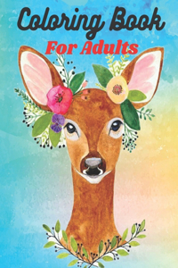 Coloring Book For Adults