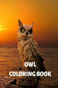 Owl Coloring Book