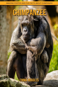 Chimpanzee: Amazing Photos and Fun Facts about Chimpanzee