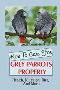 How To Care For Grey Parrots Properly