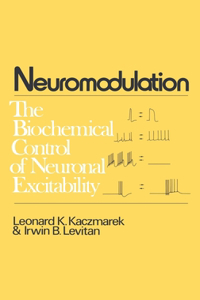 Neuromodulation