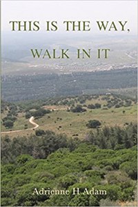 This Is the Way Walk in It