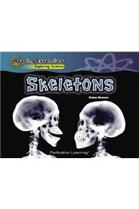 Skeletons