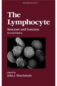 The Lymphocyte