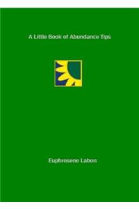 Little Book of Abundance Tips