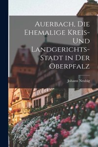 Auerbach, die ehemalige Kreis- und Landgerichts-Stadt in der Oberpfalz