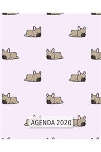 Agenda 2020