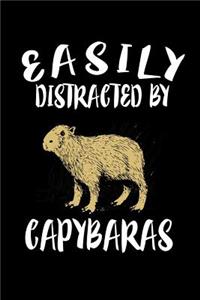 Easily Distracted By Capybaras