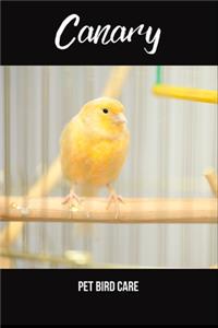 Canary Pet Bird Care