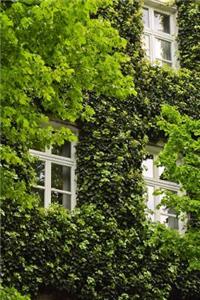 Green Ivy and Windows Journal