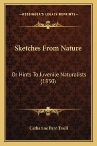 Sketches From Nature