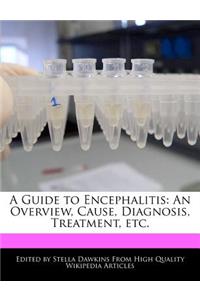 A Guide to Encephalitis