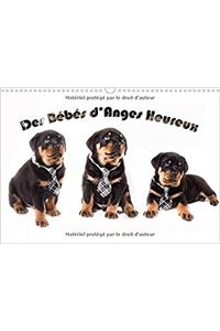 Des Bebes D'anges Heureux 2017