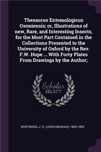 Thesaurus Entomologicus Oxoniensis; or, Illustrations of new, Rare, and Interesting Insects, for the Most Part Contained in the Collections Presented to the University of Oxford by the Rev. F.W. Hope ... With Forty Plates From Drawings by the Autho