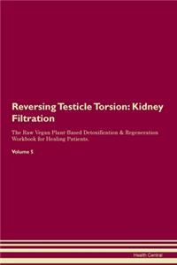 Reversing Testicle Torsion