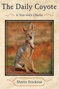 The Daily Coyote