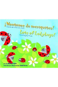¡Montones de Mariquitas!/Lots of Ladybugs!