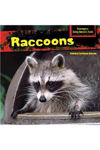 Raccoons