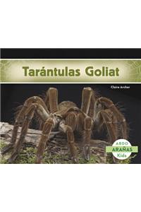 Tarántulas Goliat