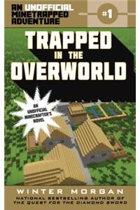 Trapped in the Overworld