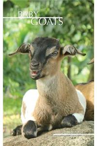 Baby Goats Weekly Planner 2016