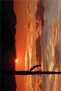 A Beautiful Sunset in the Arizona Desert