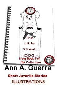 Street Little Dog