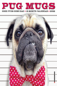 Pug Mugs 2022 Mini Wall Calendar