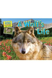 A Wolf's Life