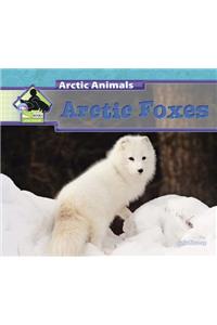 Arctic Foxes