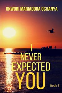 I Never Expected You