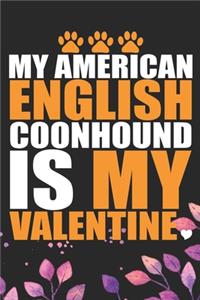 My American English Coonhound Is My Valentine