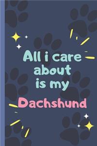 All I Care About Is My Dachshund - Notebook