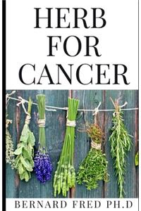 Herb for Cancer