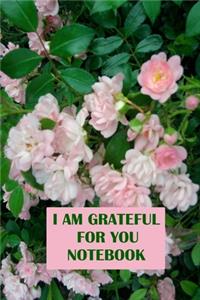 I am Grateful for You