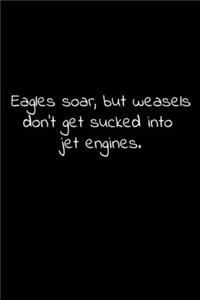 Eagles soar, but weasels don't get sucked into jet engines.