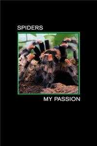 Spiders my Passion