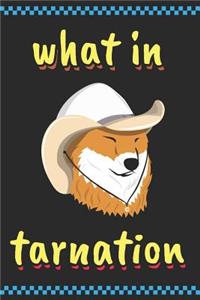 What in Tarnation