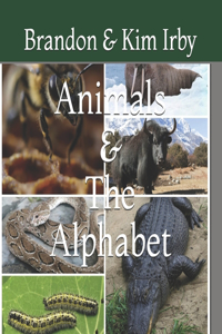 Animals And The Alphabet